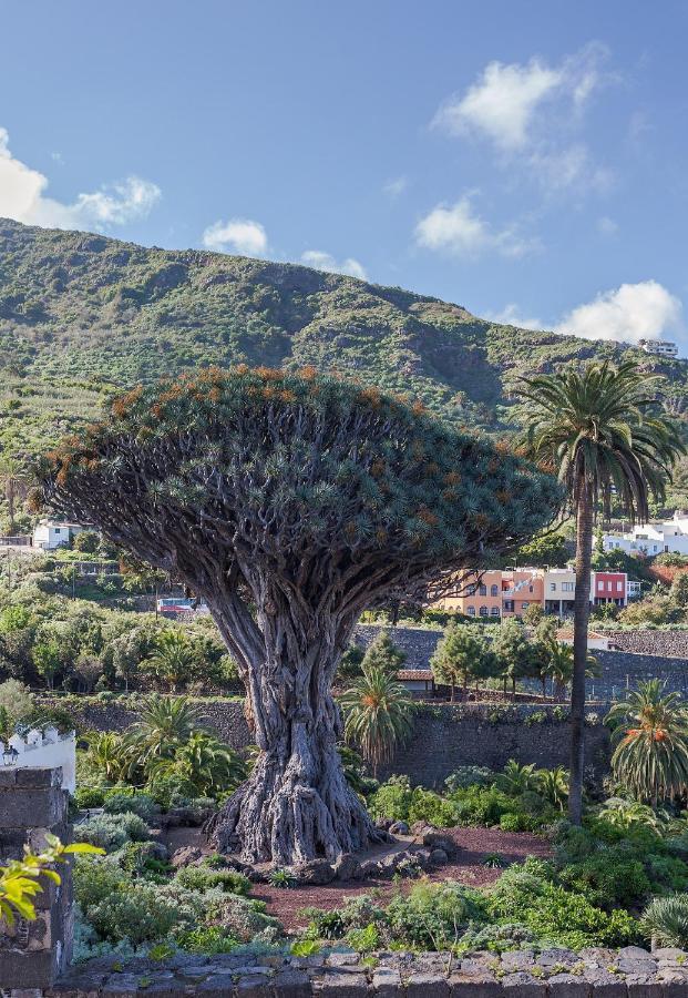 Ferienwohnung Terraza Centrico Pueblo Aparcamiento Cerca Icod De Los Vinos Exterior foto